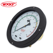 Gauge de niveau de pression différentielle de 200 mm